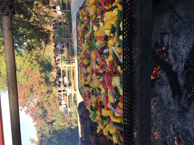 colorful vegetables cooking on the grill over the fire