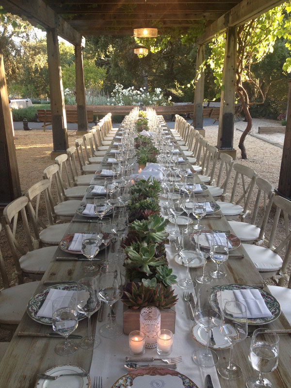 long table decorated with succulent centerpieces outside at a winery