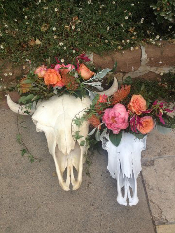 two cow skulls with flowers
