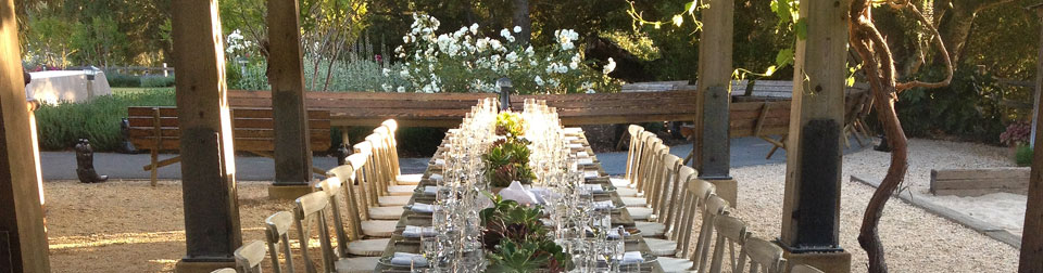 long table set for dinner outdoor at a winery